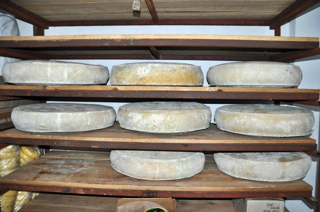 O kentin meşhur peyniri tescillendi: Kilosu 650 TL! Yılda 200 ton üretiliyor, kapış kapış satılıyor 14